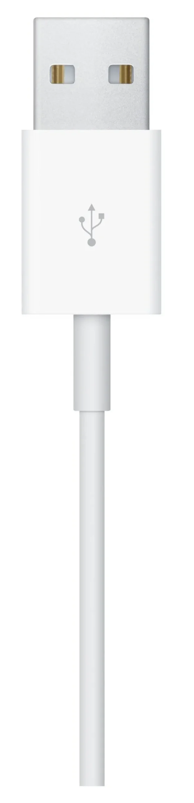 Apple Cavo Magnetico Ricarica Apple Watch 1m – MagSafe a induzione facile e sicura