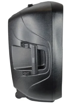 Karma Tiger 10A - Diffusore Amplificato 170W - black