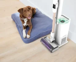 SHARK - ASPIRAPOLVERE SENZA FILO DETECT PRO AUTOSVUOTAMENT - bianco/rosa