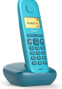 Telefono cordless Gigaset A270 con Vivavoce Ampio Display e Indicazione Data